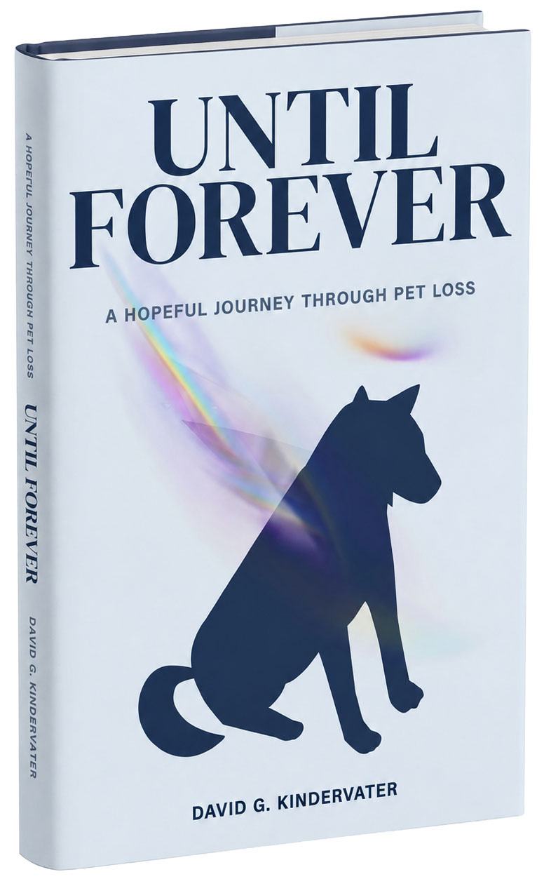 Until Forever book cover